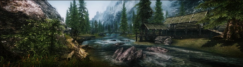 Подробная информация о "Skyrim: True Believer"