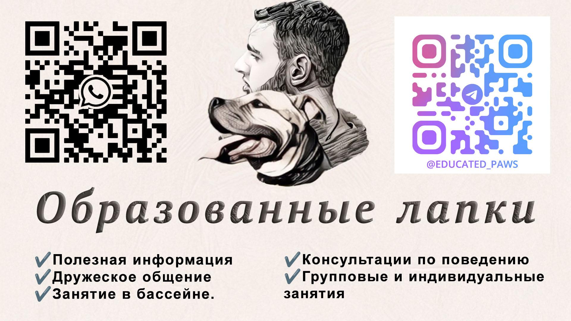 Подробная информация о ""Образованные Лапки" - Кинология от Ластриума?"