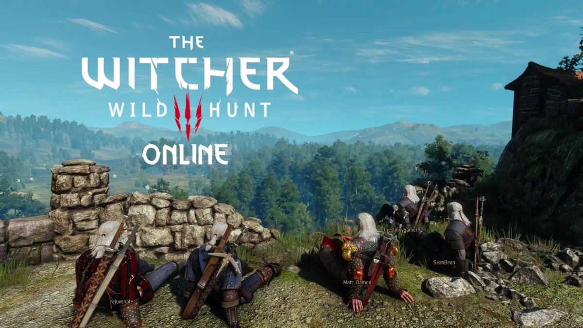 Подробная информация о "Nexus Mods пополнился уникальным творением Witcher Online - многопользовательским режимом для культовой RPG !!!"